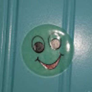 Meet your Posher, Haslym2